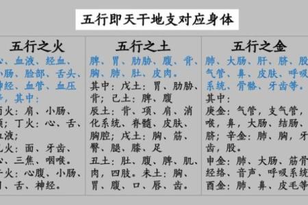 八字看身体