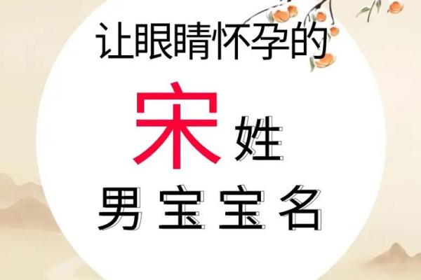 宋姓女孩名字大全-宋姓女孩起名字大全-宋姓名字大全姓名