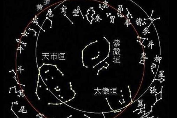 紫薇斗数星盘分析