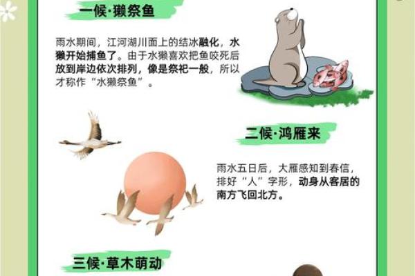 雨水的民俗活动 雨水的由来简介