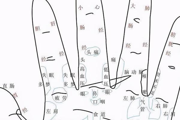 《手相学习百科》：手的形状