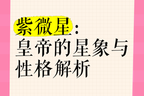 紫薇斗数app帝王