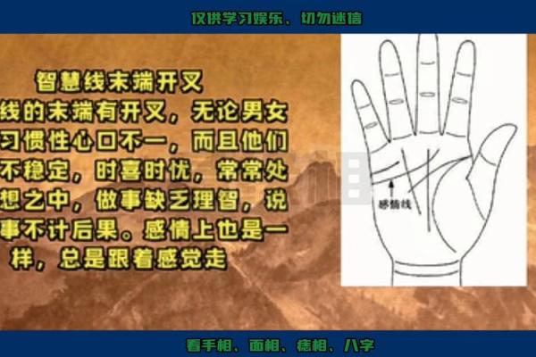 《手相学习百科》：手相看爱情
