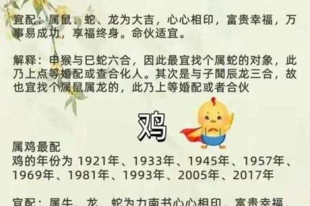 1982年属什么生肖配对最好 1982年属什么生肖的最佳配偶