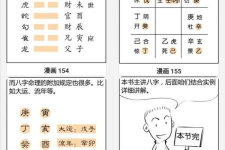 零基础学习快速算命