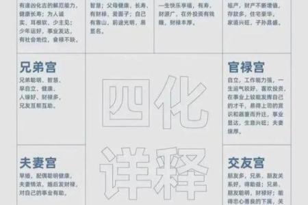紫薇斗数里面的岁驿是什么意思