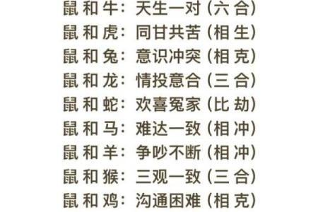 生肖鸡男配对姻缘 属鸡男生肖配对？