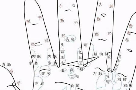 《手相学习百科》：手的形状