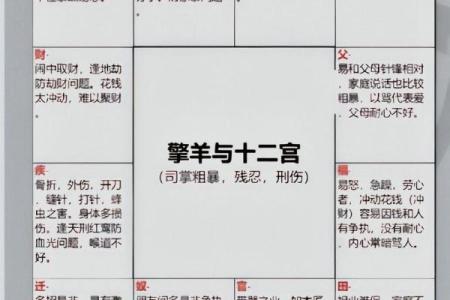 猪猪紫微斗数 紫微斗数在线排盘免费解析？