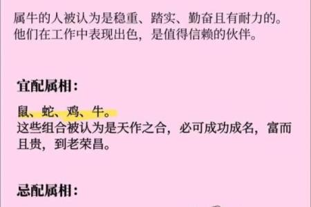 终于有人把“十二生肖夫妻配对表”，整理出了，看看吧，仅供参考