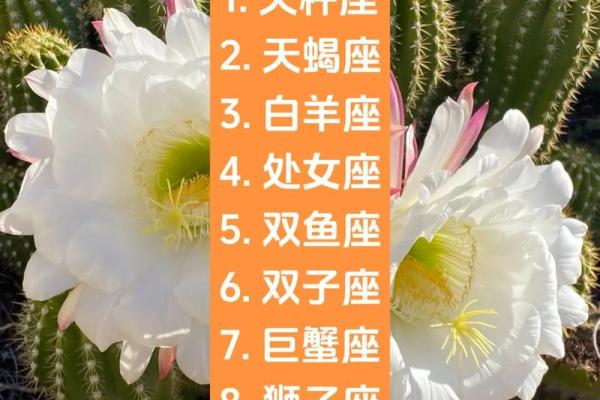 最适合当主角的星座 喜欢把自己当主角的星座
