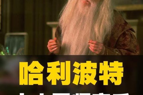 哈利波特少爷哪个星座