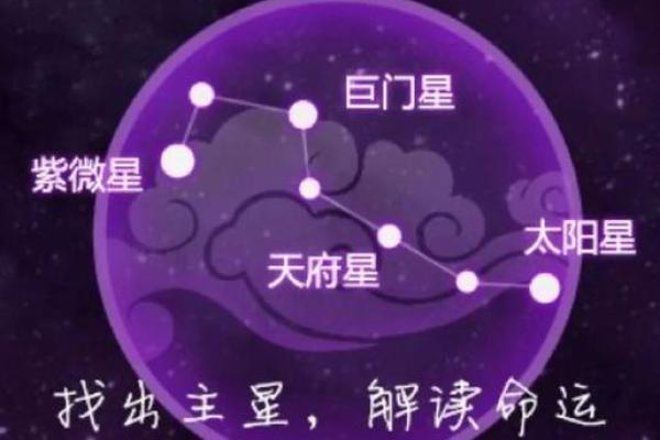 紫薇斗数看一生命运