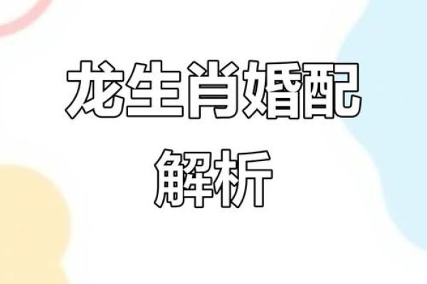 2000属龙女孩最佳婚配 与什么生肖配对最幸福