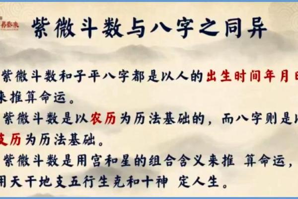 紫薇斗数和梅花易数哪个准