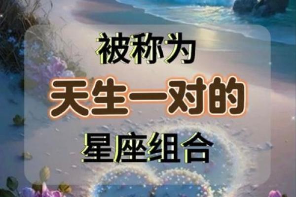 双子和天秤配对