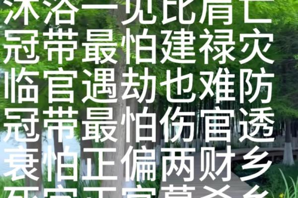 每日风水资讯：处理事情需专注