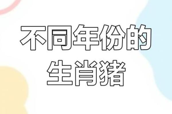 71年属猪和75年属兔相配吗 互补默契配对理想