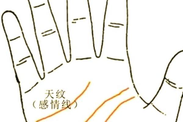 罕见的掌纹手相算命和图解