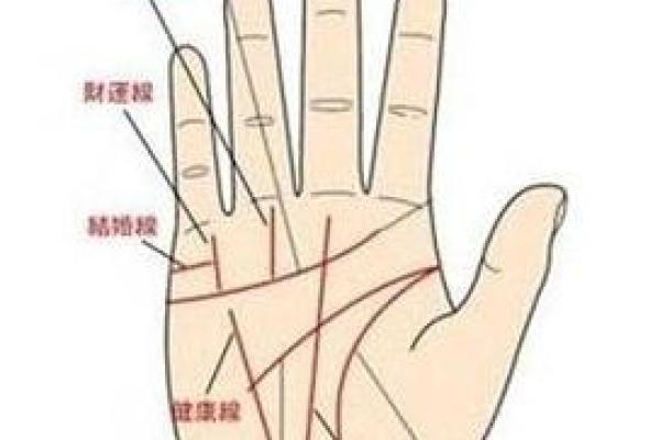 罕见的掌纹手相算命和图解