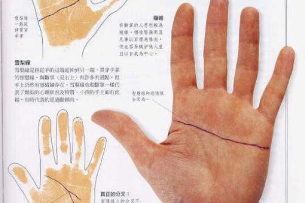《手相学习百科》：认识双手