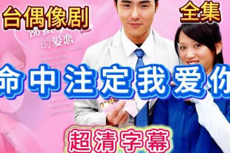 命中注定的血型恋人