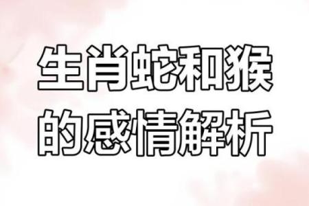 生肖配对：属猴的和什么属相最配
