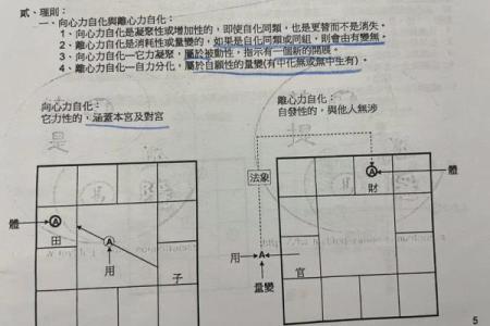 紫薇斗数生年自化