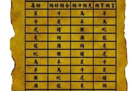 龙生肖配对姻缘 龙生肖配对排名？