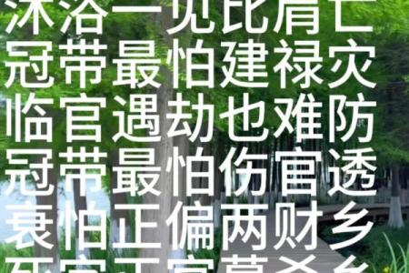 每日风水资讯：处理事情需专注
