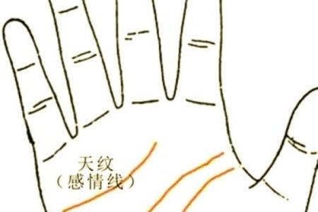 罕见的掌纹手相算命和图解