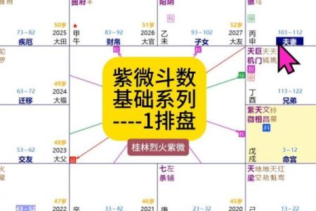 紫微斗数失陷 紫微斗数陷落？