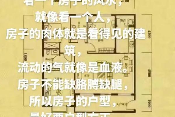 房子下什么软件看风水