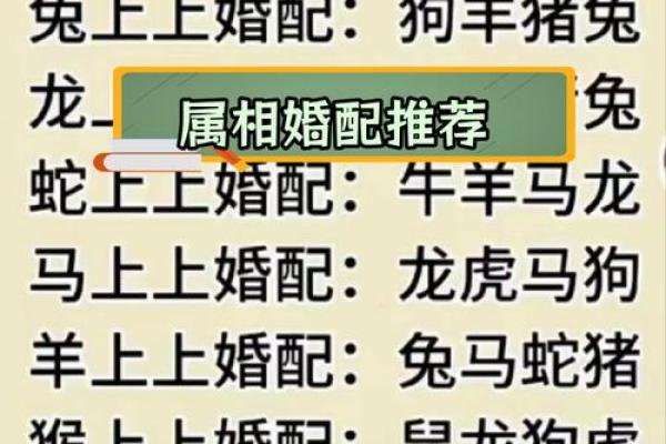 十二生肖最佳婚姻配对