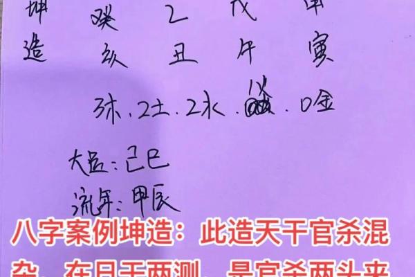 己巳日八字