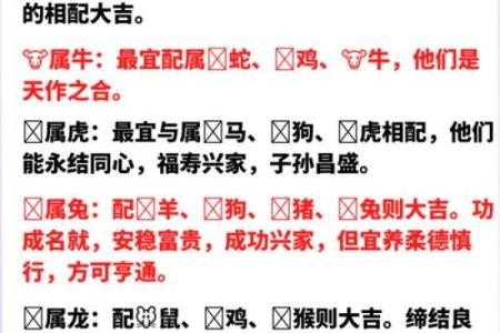 十二生肖最佳婚姻配对