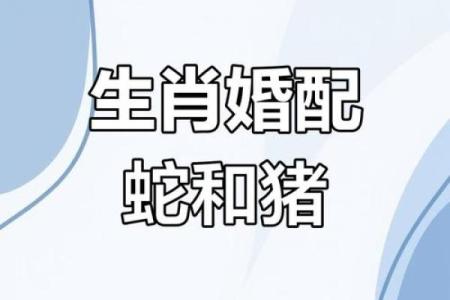 蛇跟什么生肖配对最好 生肖蛇最佳配对