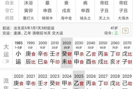 2024年12月14日出生的男宝宝八字命理 善言健谈欠缺沉着
