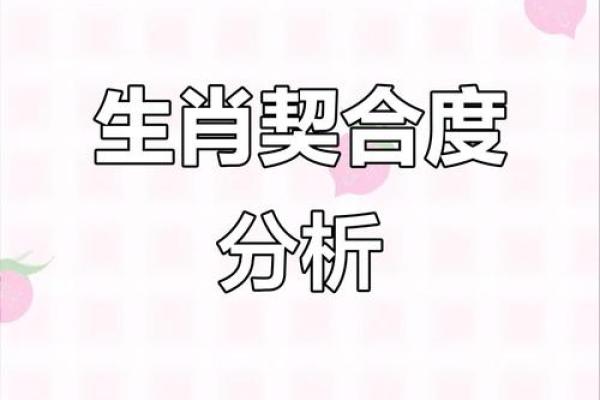 生肖配对指数 生肖配对指数真的准吗