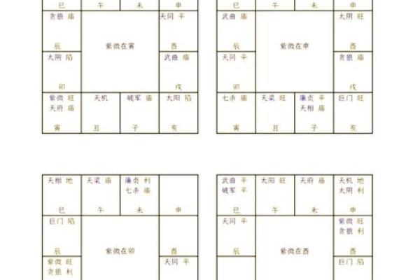 紫薇斗数生育星