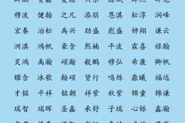 属猪巳时出生的男孩如何取名字，适合用什么字姓名