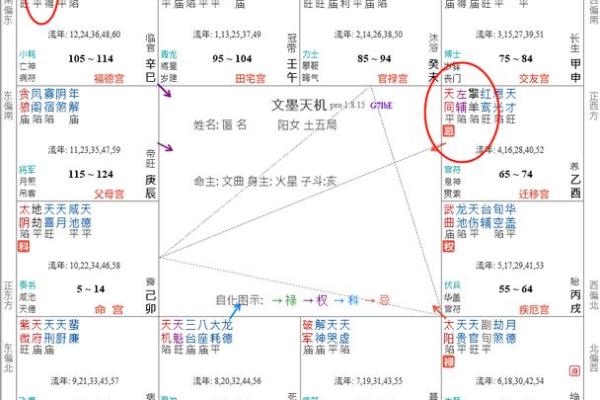 紫微斗数之：助星及辅星