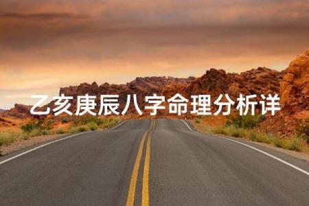 乙亥日八字