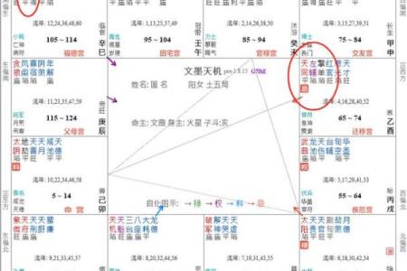 紫微斗数之：助星及辅星