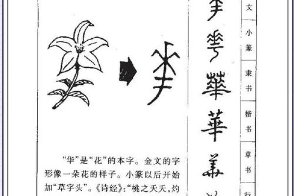 姓庄的名人-姓名学-华易算命网姓名