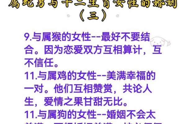 婚姻配对属龙和属蛇姻缘怎么样