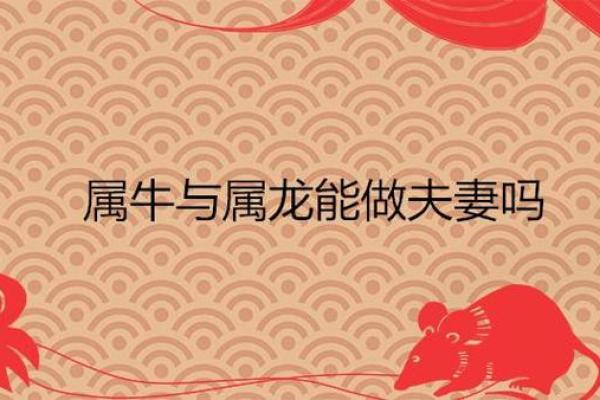 牛和牛相配婚姻如何 牛牛婚姻配对好不好