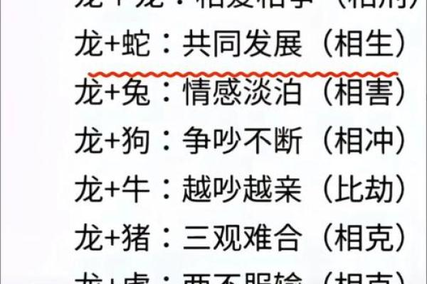 最准的12生肖配对表男龙女兔马 属相婚配男龙女兔