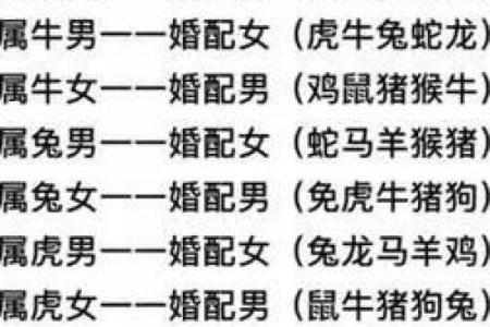 男女婚姻属相配对表 如何利用男女婚姻属相配对表选择恋爱对象