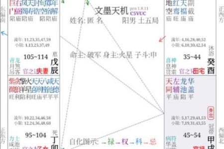 紫微斗数十四主星：破军星概论
